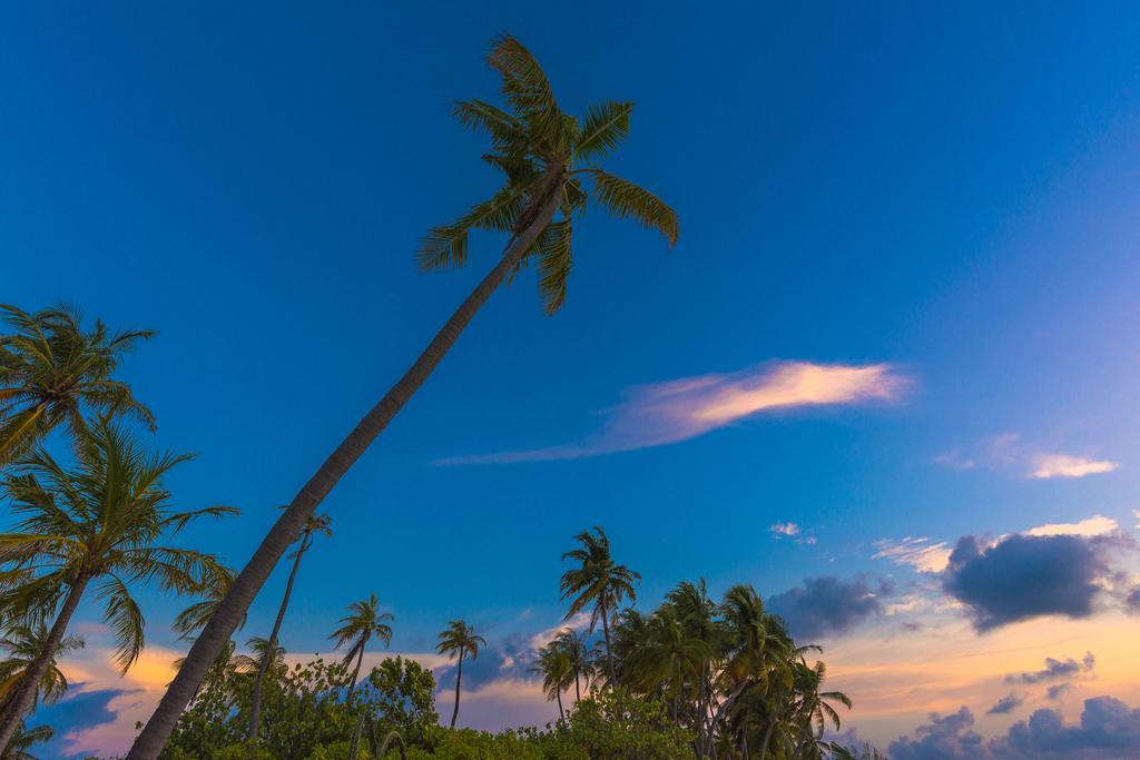 Sabba Summer Suite , Fodhdhoo - Maldives Luaran gambar